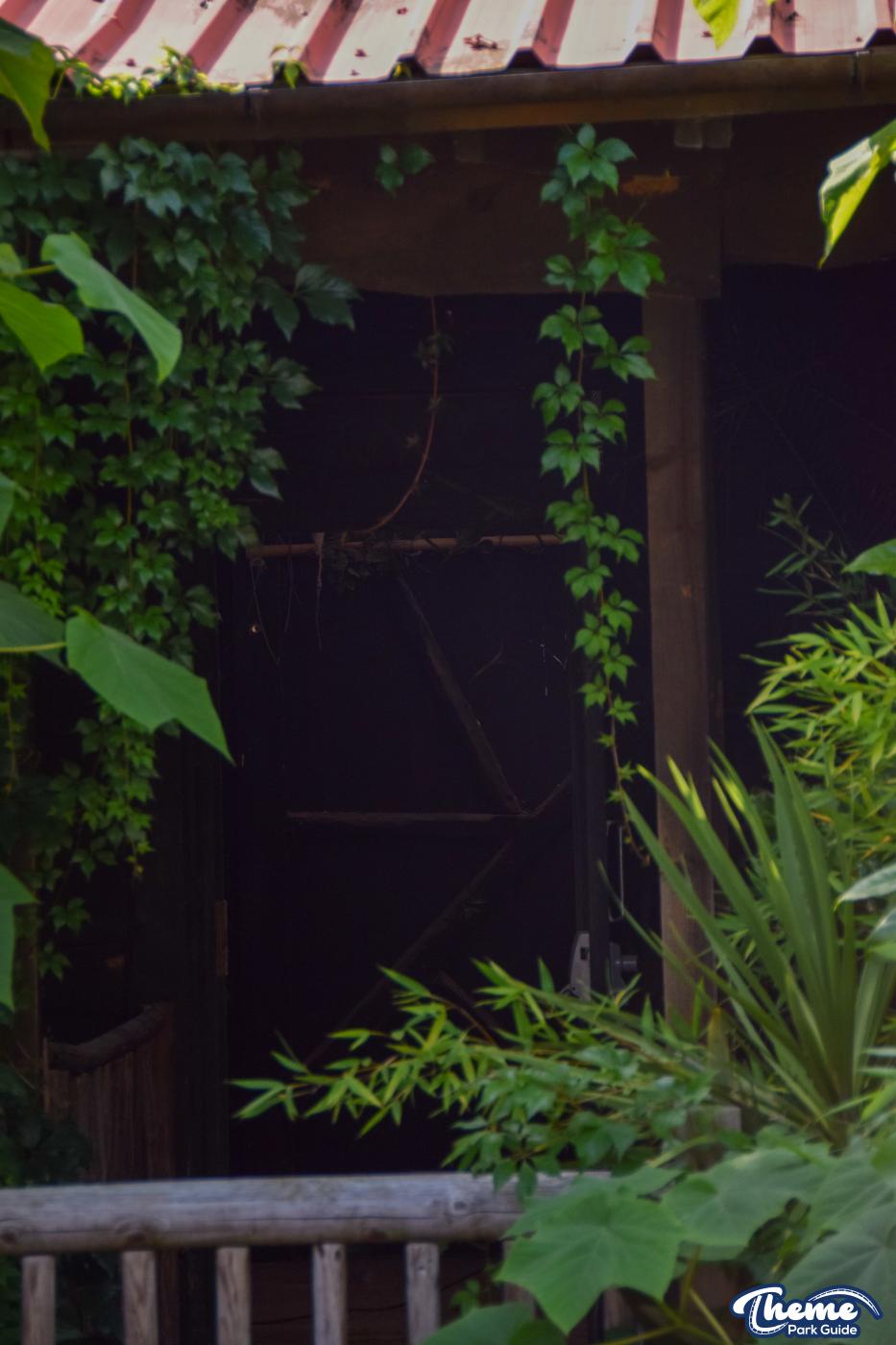 Fright Nights 2021 Jungle Escape Further Removed