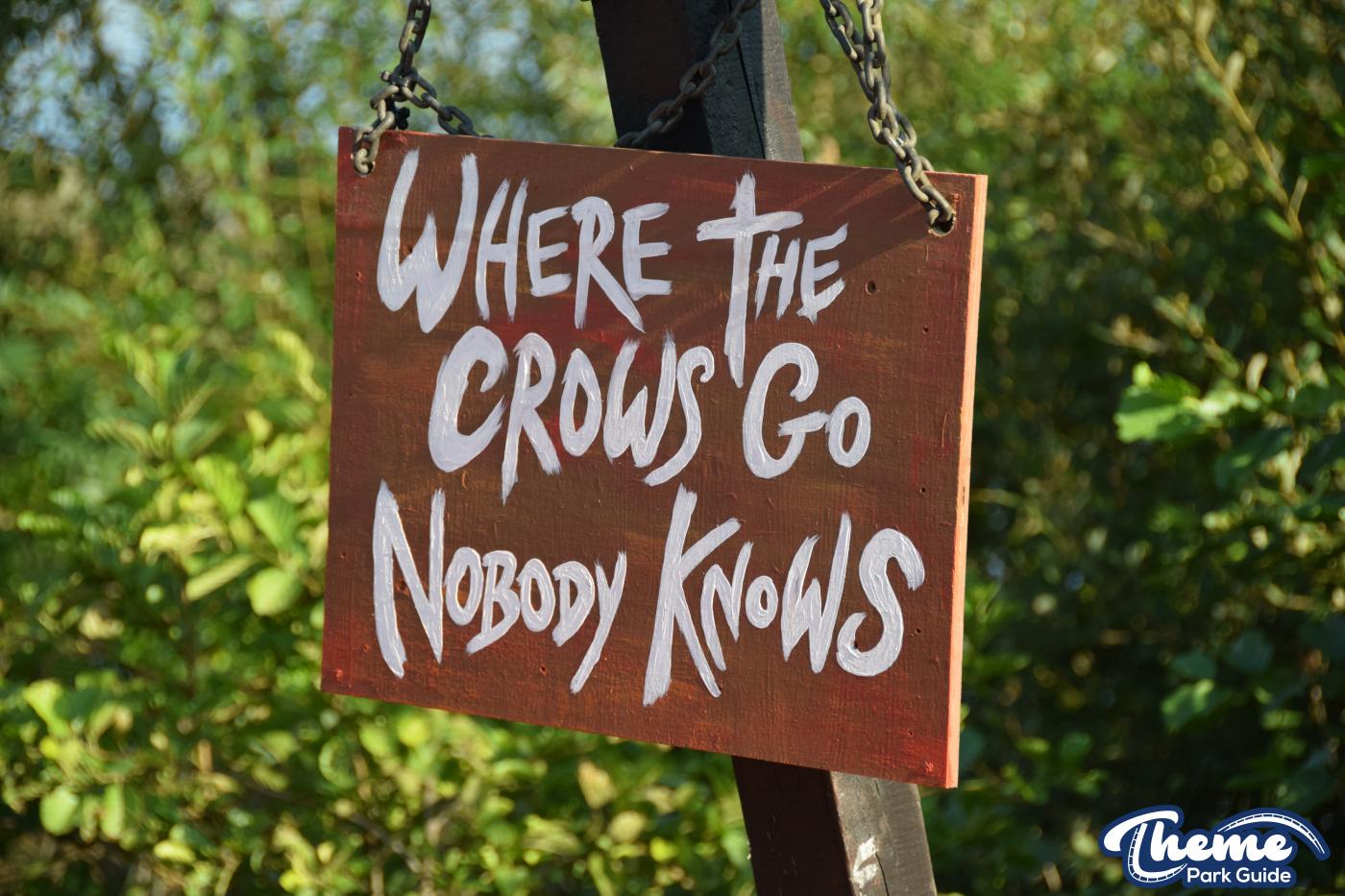 The Crows of Mawkin Meadow -