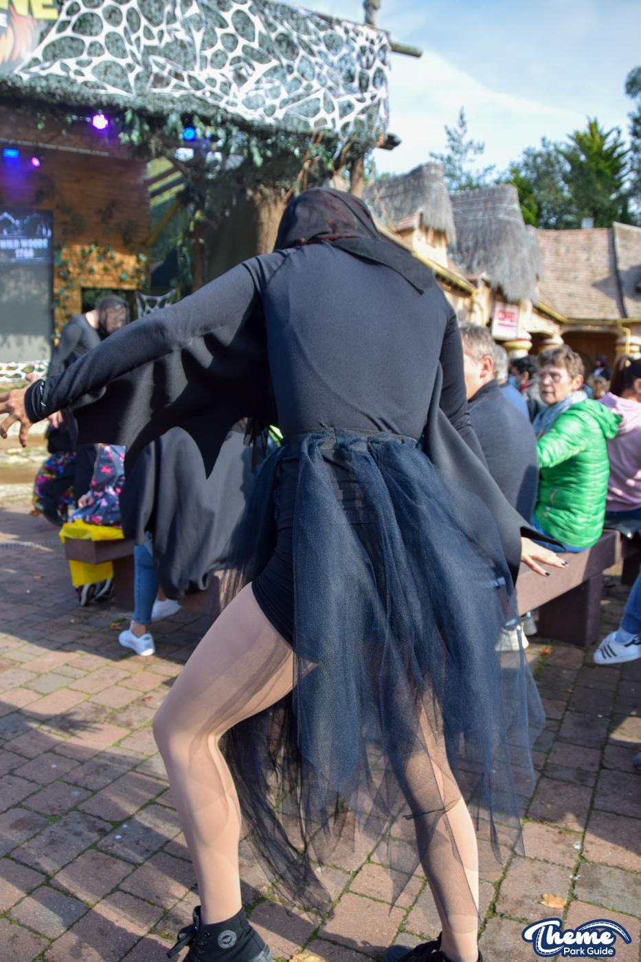 The Legend Of The Wild Witches Show -
