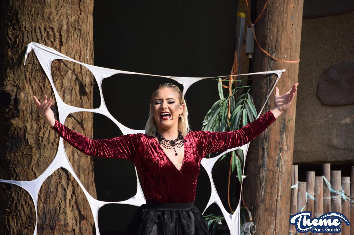 The Legend Of The Wild Witches Show -