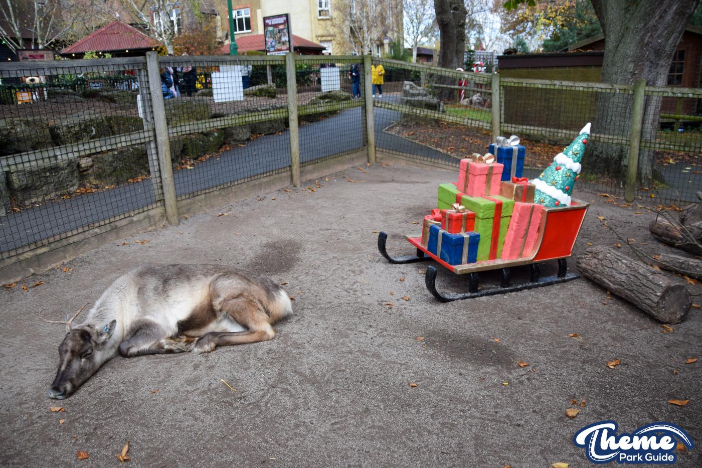 Chessington Winters Tail 2021 And Closed Season Update