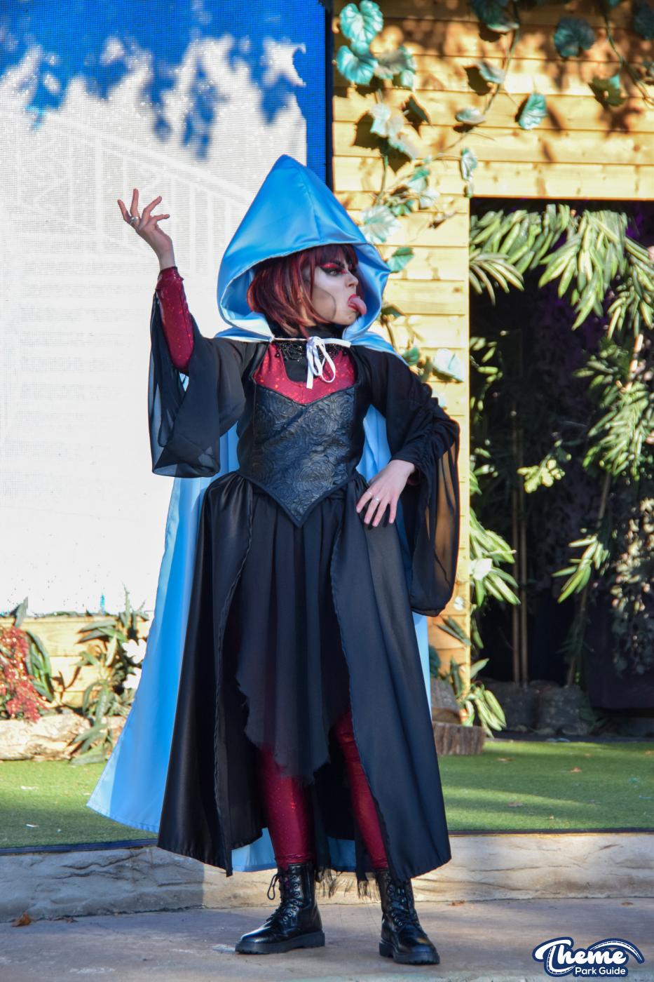 The Wild Christmas Panto 2021 -