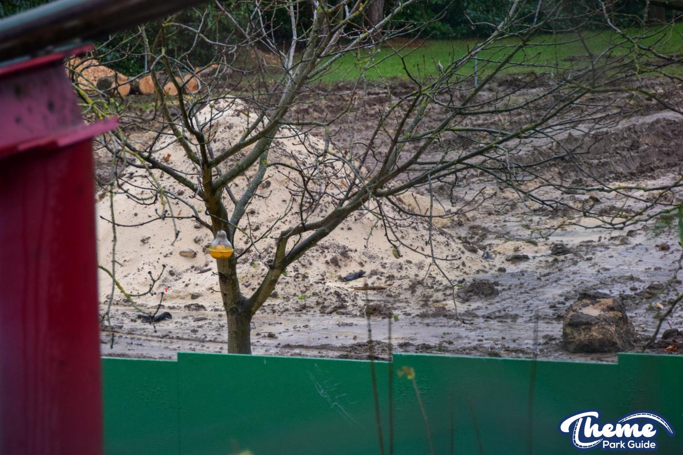 Work on Project Amazon Officially Begins