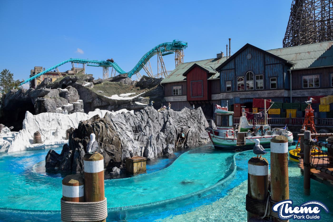 Whale Adventures - Iceland