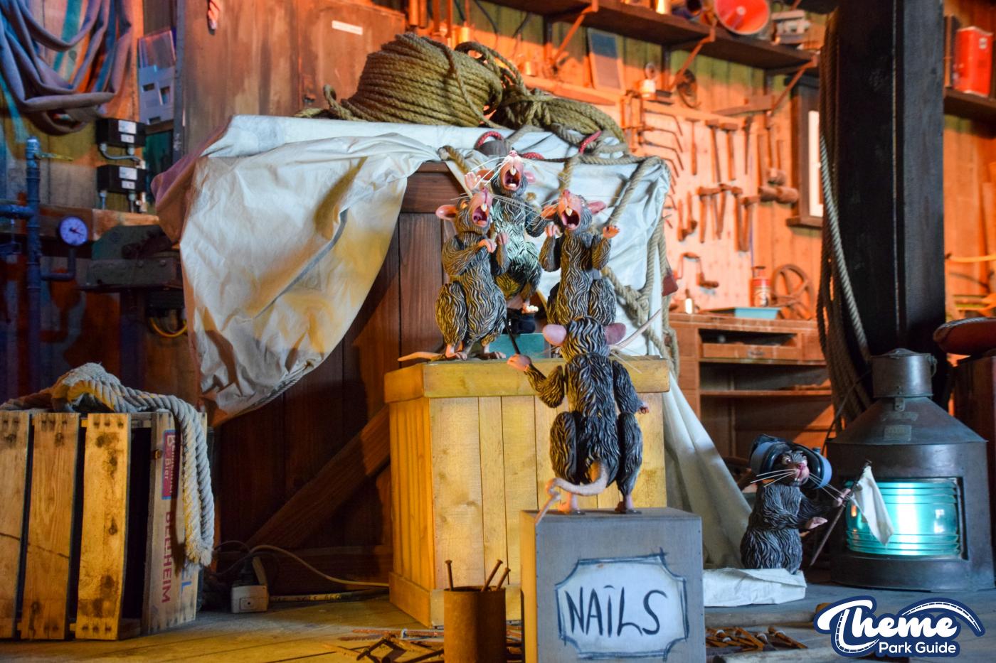 Whale Adventures - Iceland