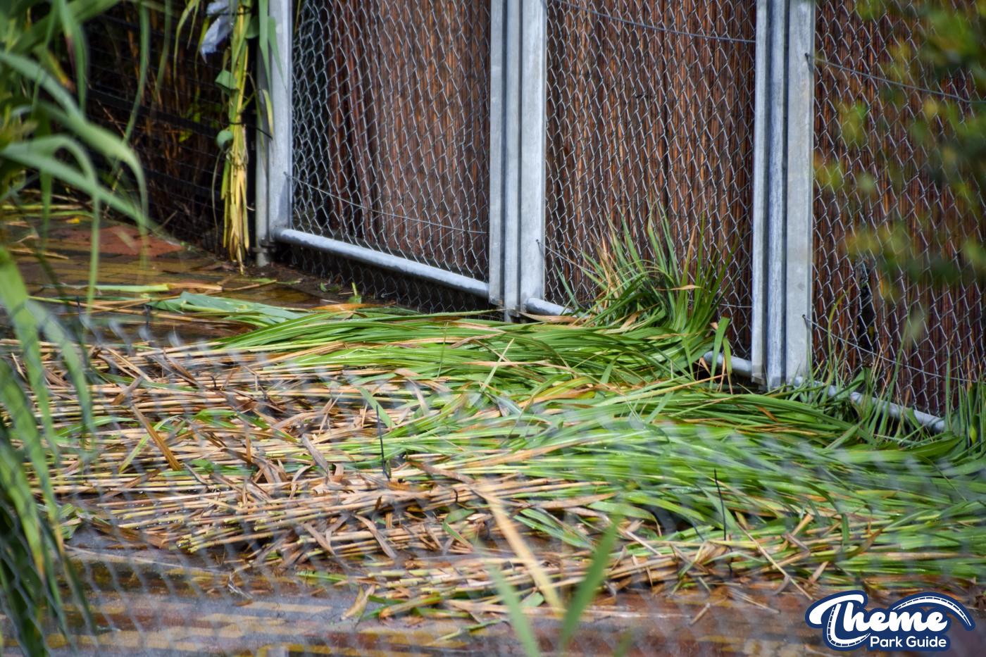 Fright Nights 2022 September Construction Update Through The Key Hole