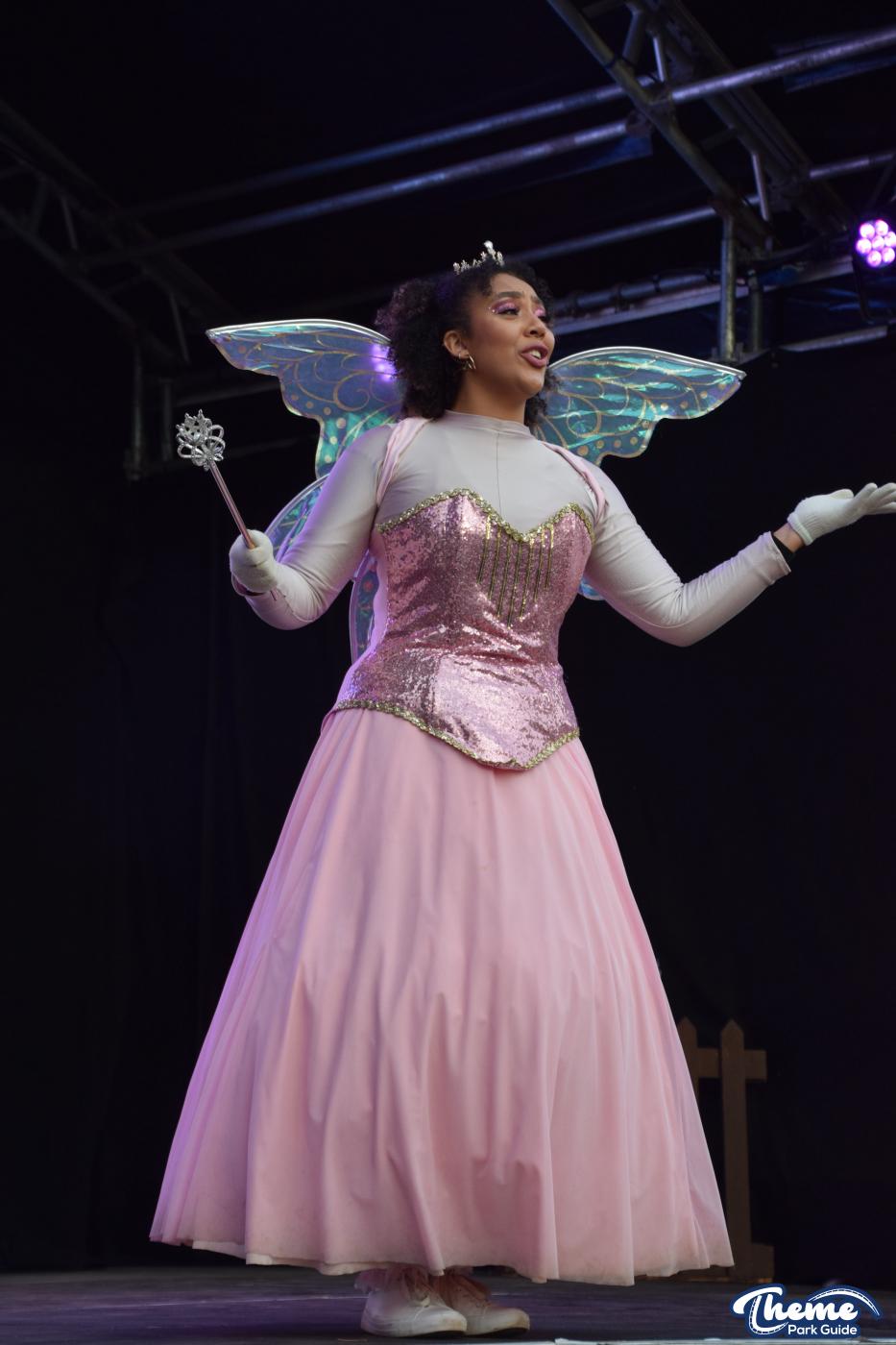 The Wild Christmas Panto 2022 Day Time