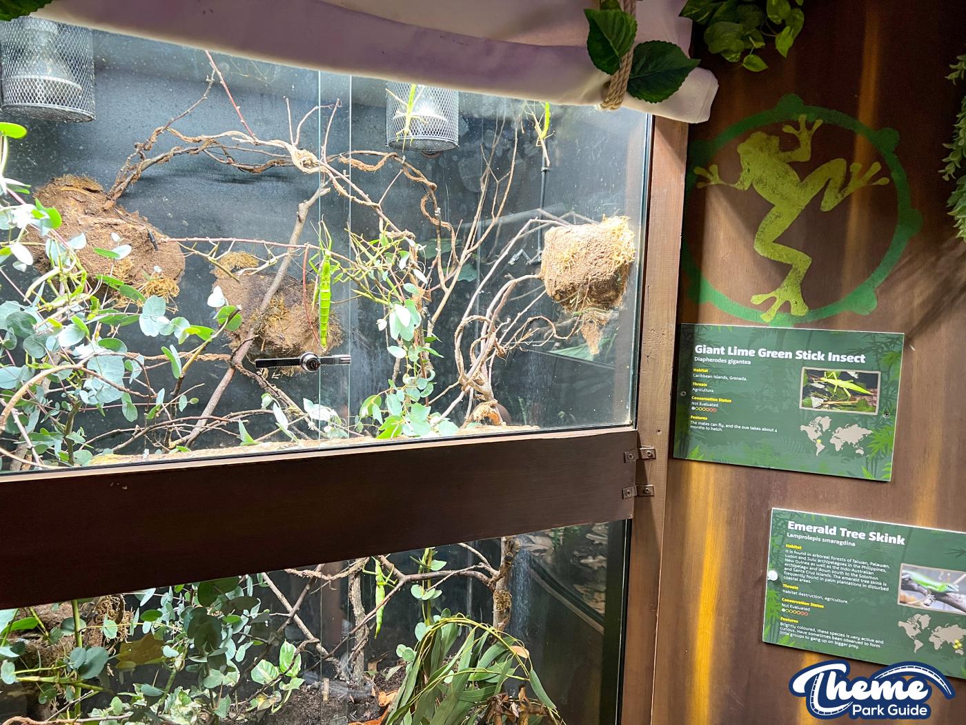 Sealife Centre - Chessington Zoo