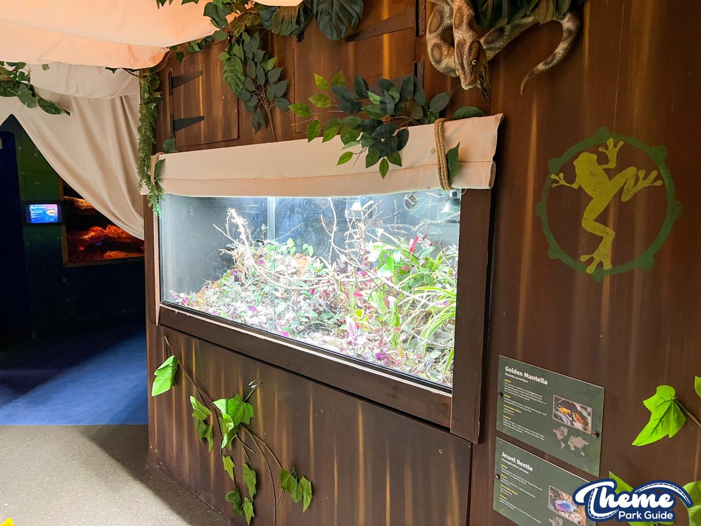 Sealife Centre - Chessington Zoo
