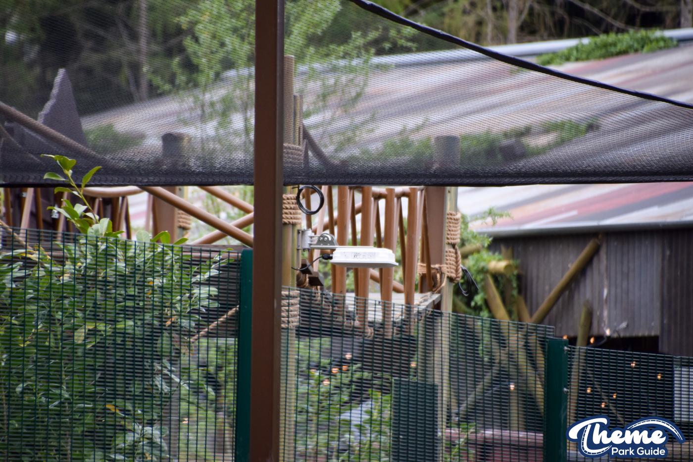 Final Look At World Of Jumanji Before It Opens To The Public