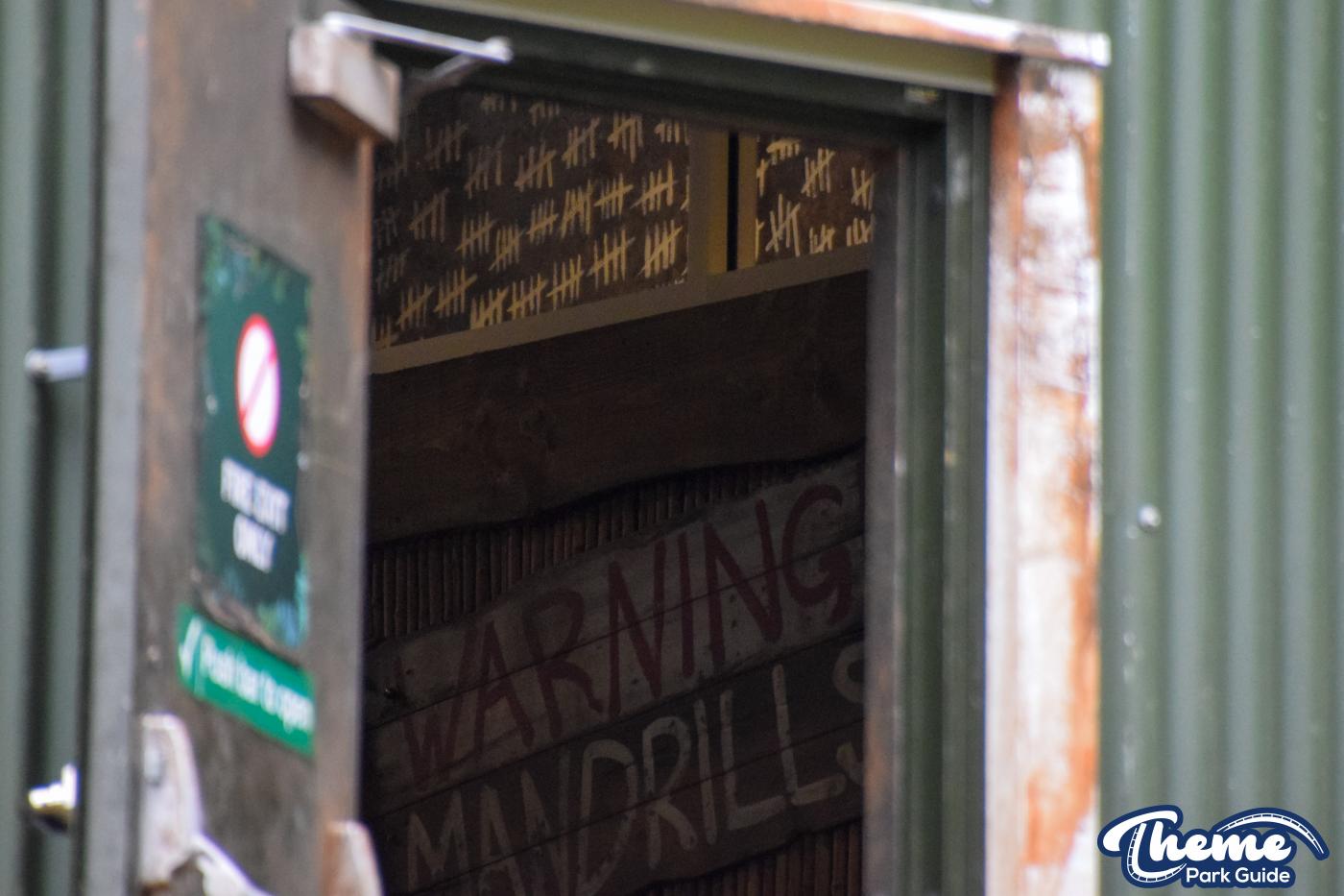 Final Look At World Of Jumanji Before It Opens To The Public