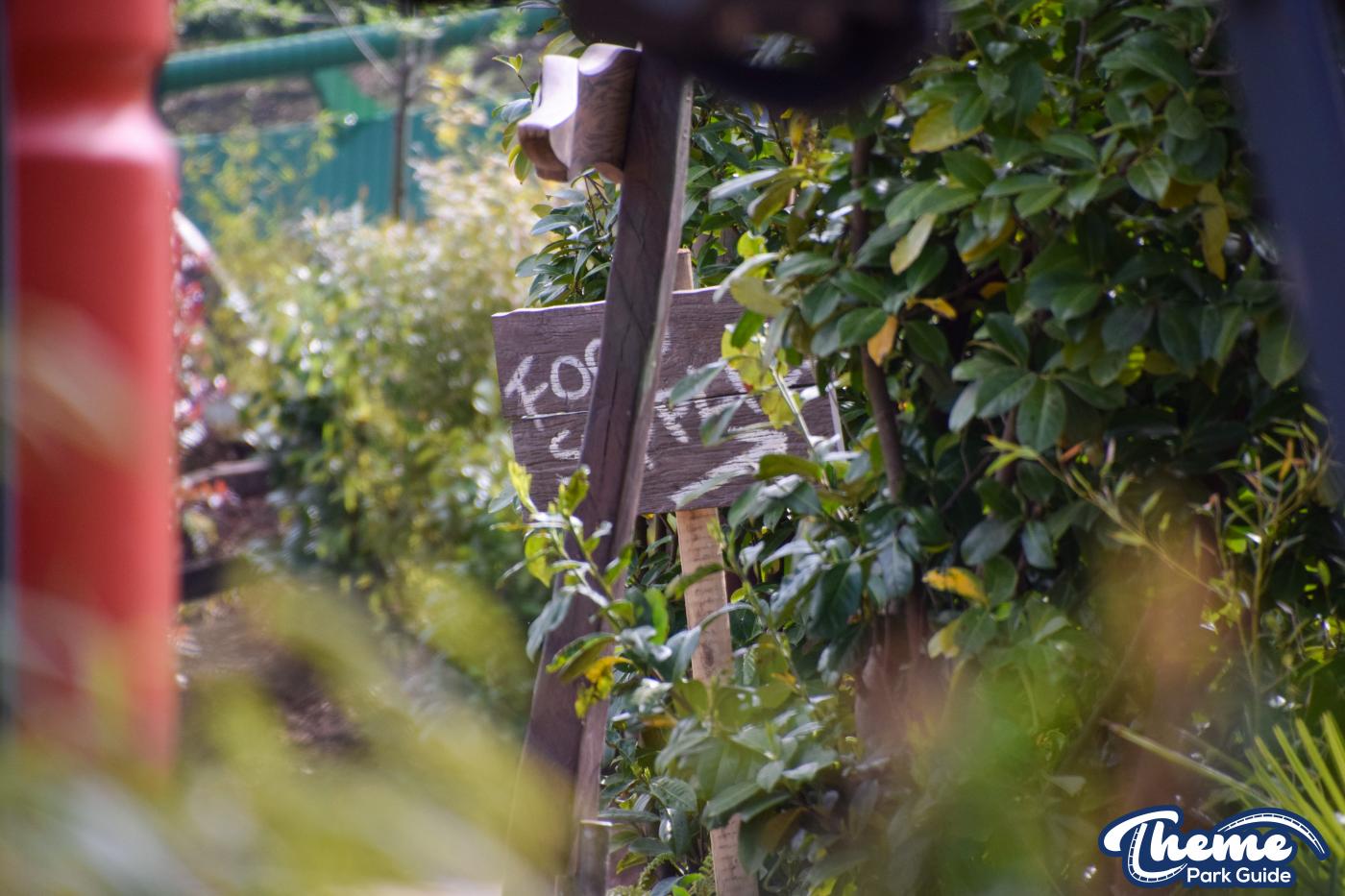 Final Look At World Of Jumanji Before It Opens To The Public