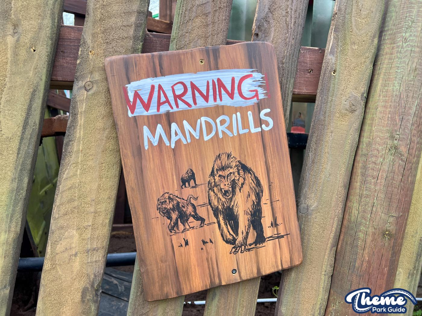 The Jumanji Food Supplies Co.