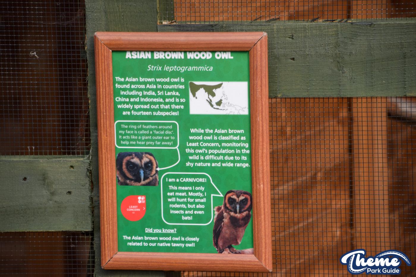 Chessington Closed Season Update 26th February 2024