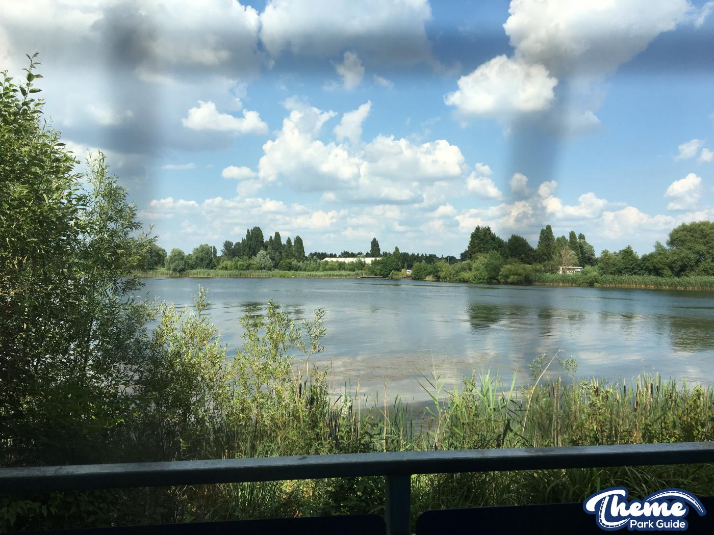 Thorpe Shark Basic Room