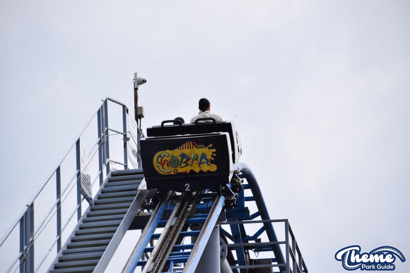 Is Cobra Leaving Paultons Park for the 2026 Viking Themed Area?
