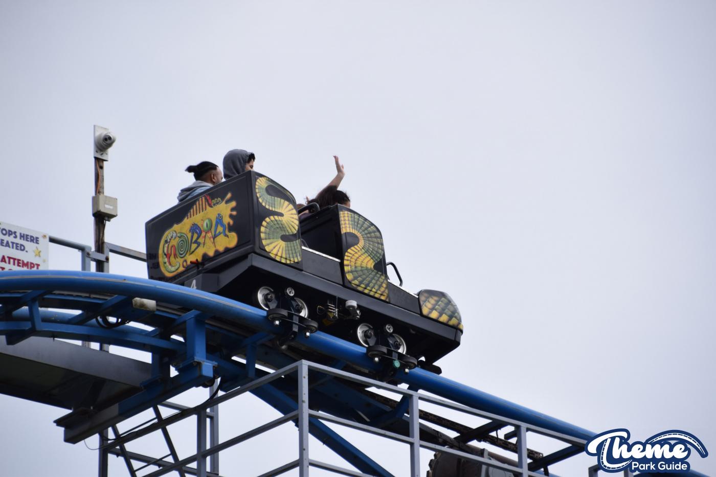 Is Cobra Leaving Paultons Park for the 2026 Viking Themed Area?