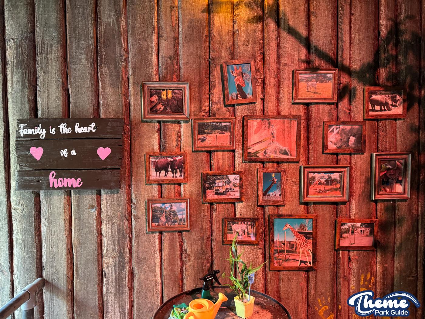 Zufari at Chessington Reopens in 2025 After Closure