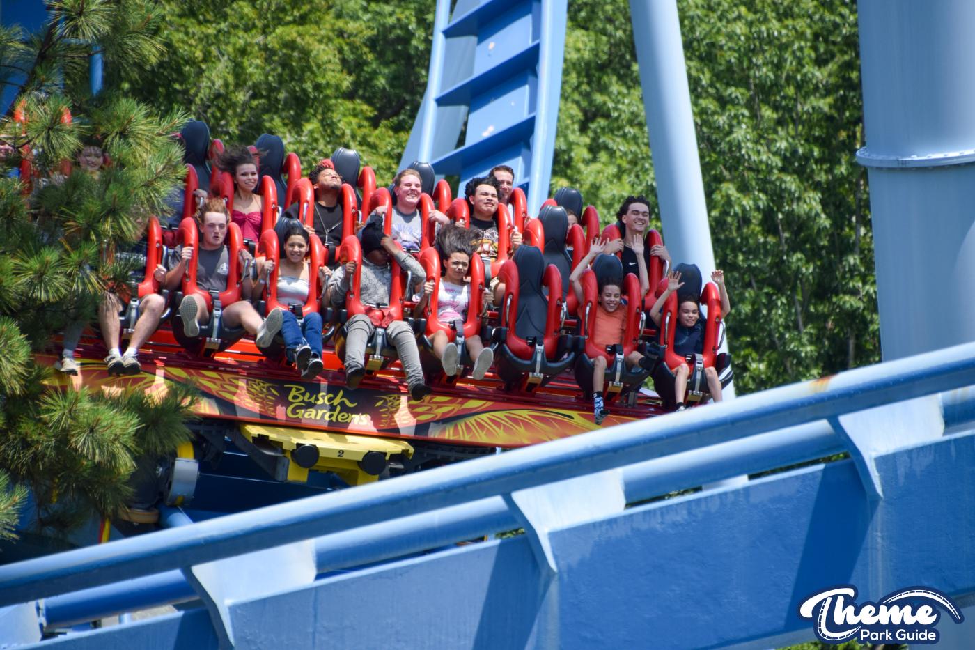 Griffon -  Busch Gardens Williamsburg