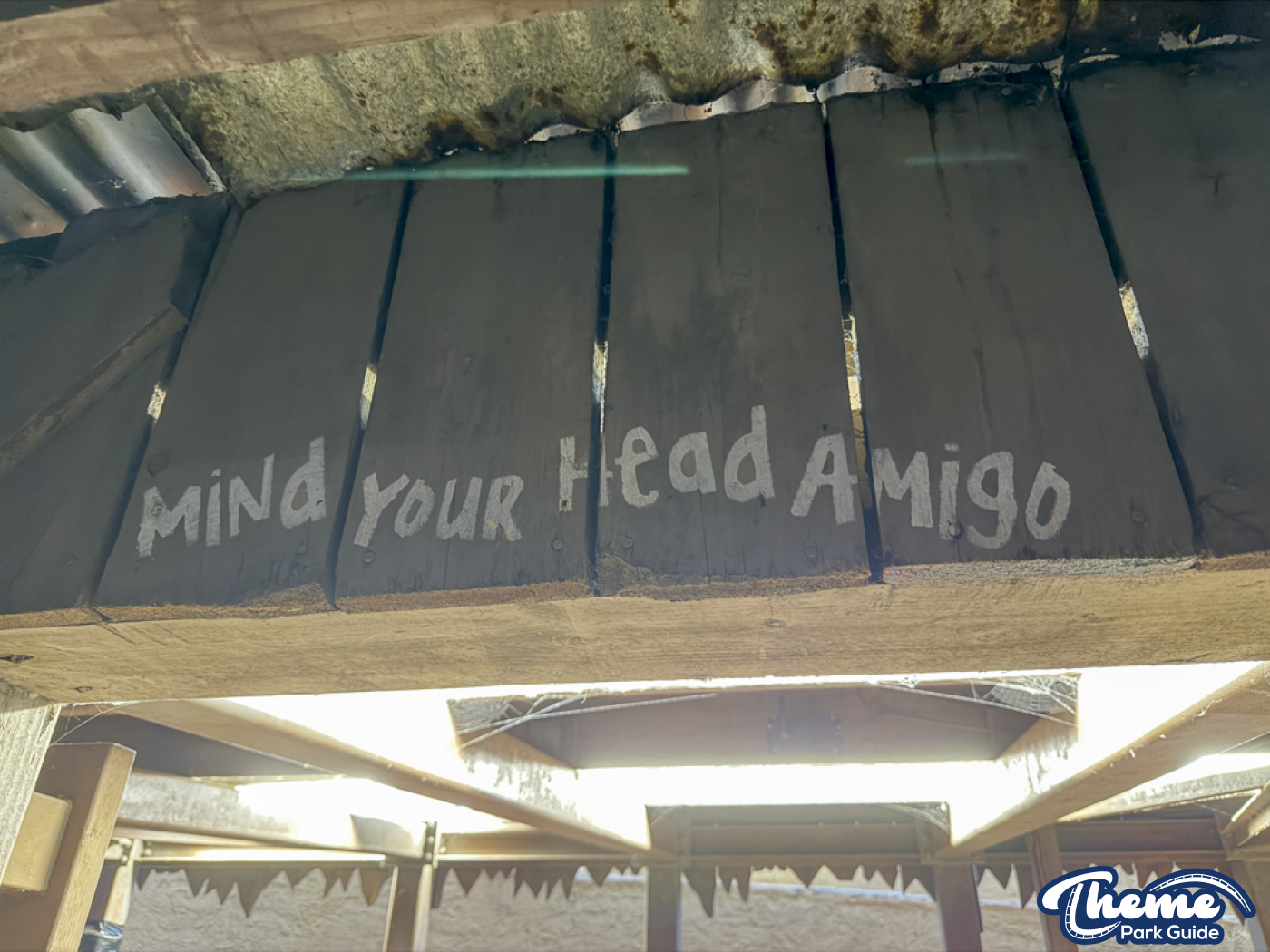 Rattlesnake - Forbidden Kingdom