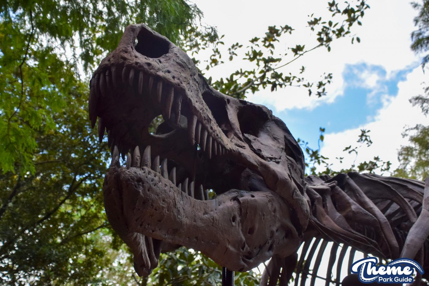 DINOSAUR -