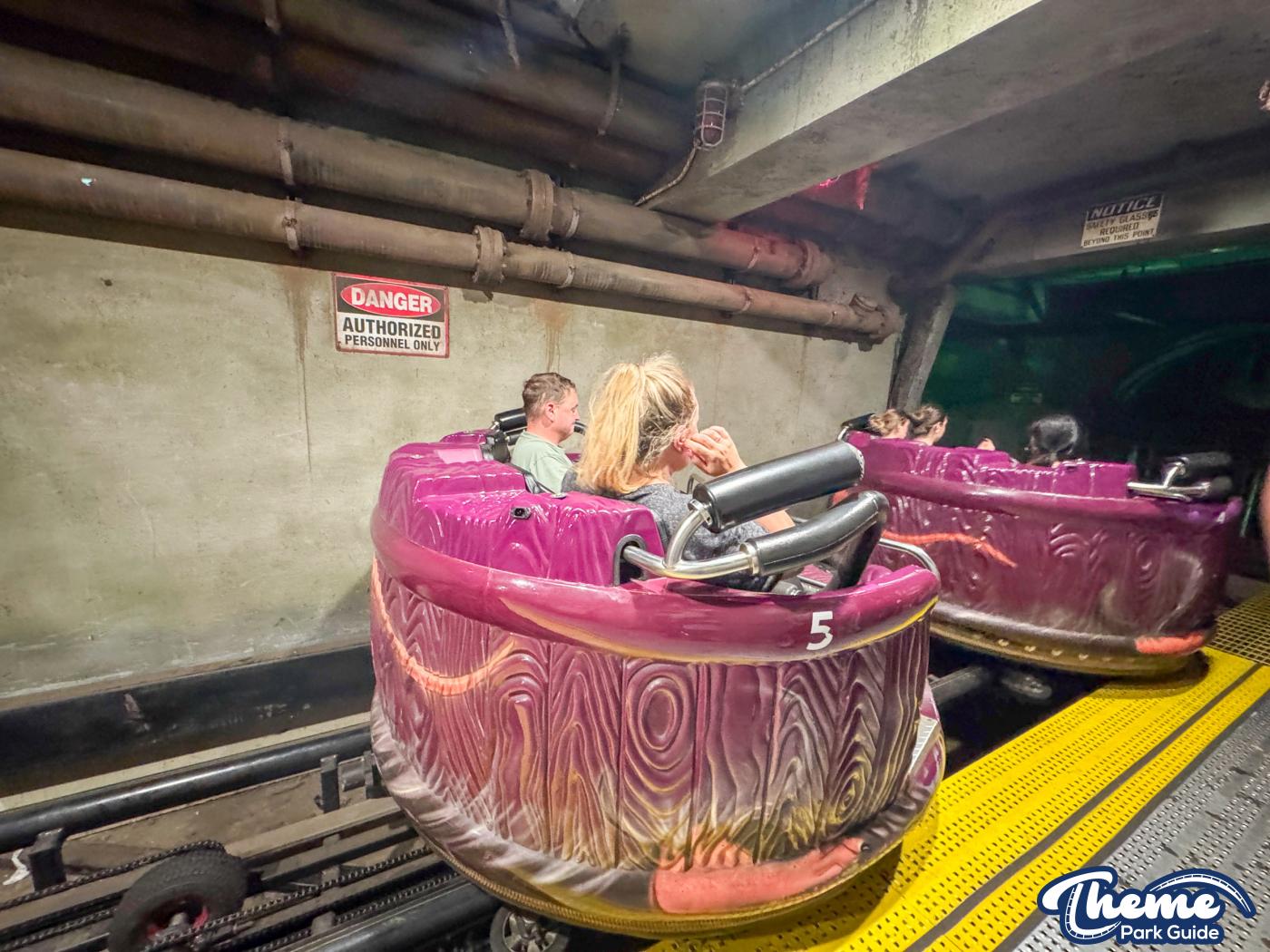 Exterminator -  Kennywood