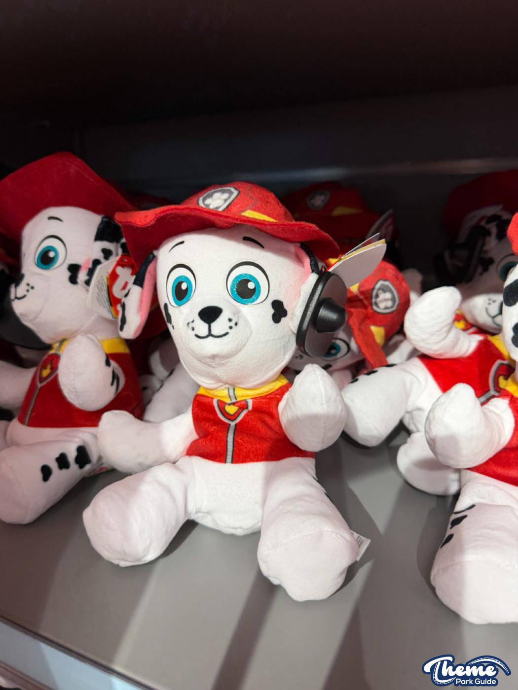 Paw Patrol Gift Shop