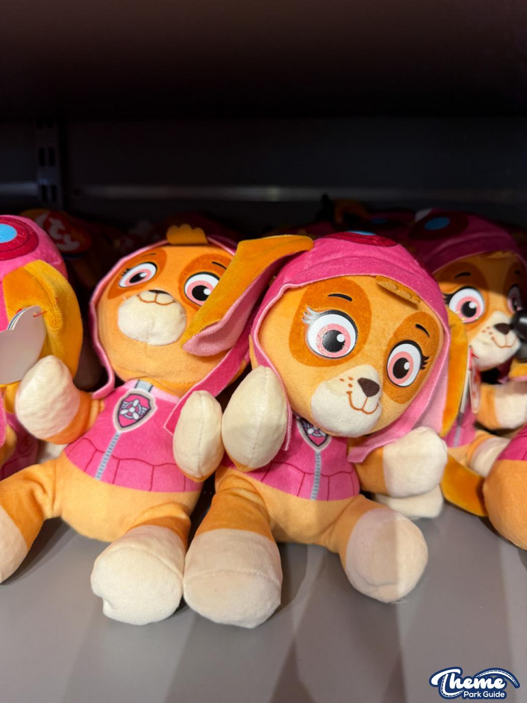 Paw Patrol Gift Shop