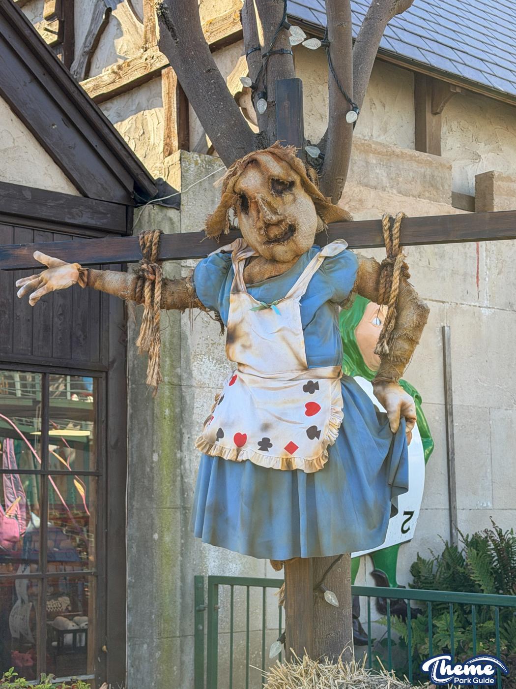 Down the Rabbit Hole -