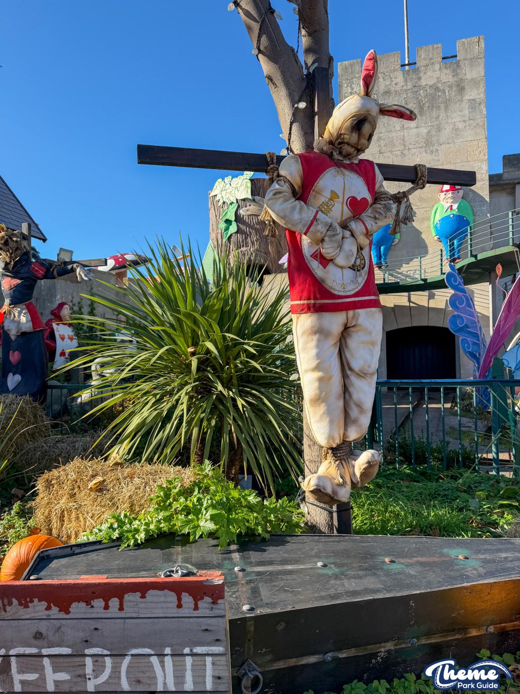 Down the Rabbit Hole -