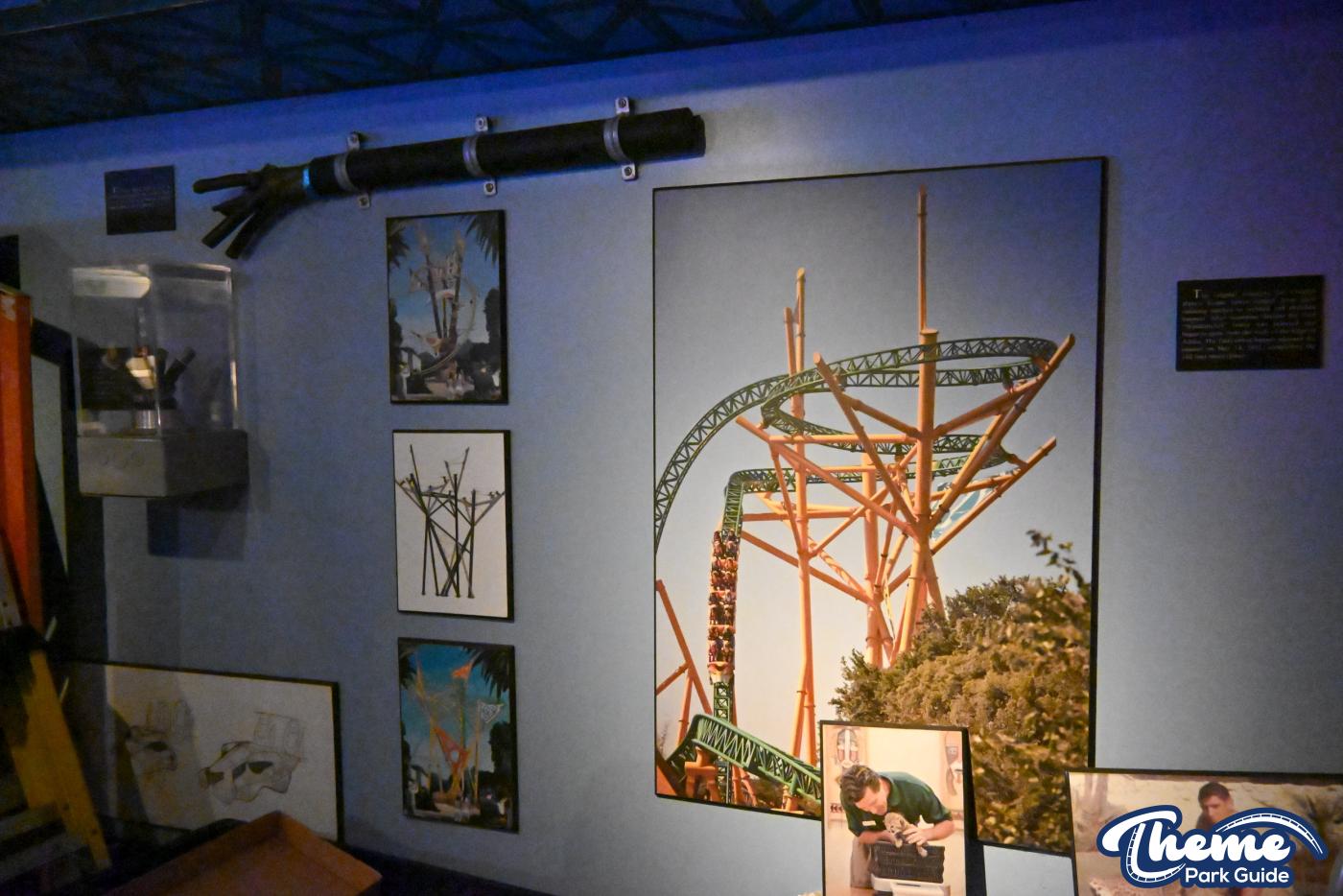 Cheetah Hunt Behind the Scenes Tour -