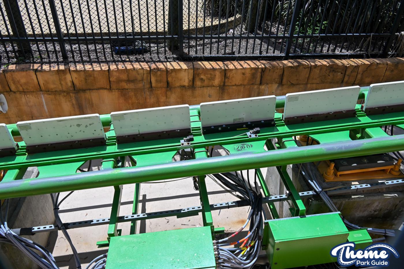 Cheetah Hunt Behind the Scenes Tour -