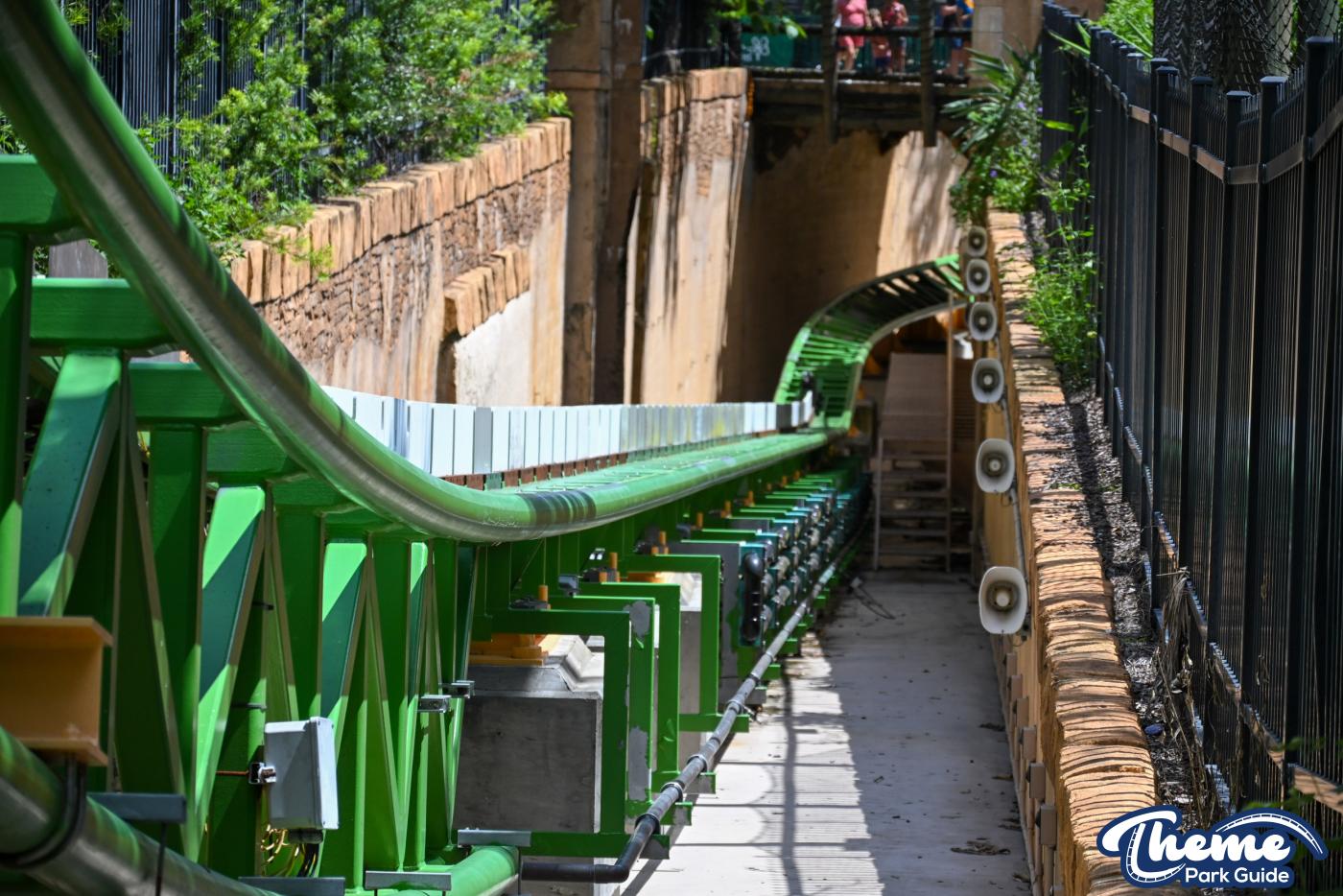 Cheetah Hunt Behind the Scenes Tour -