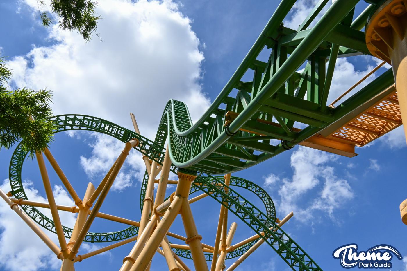 Cheetah Hunt Behind the Scenes Tour -