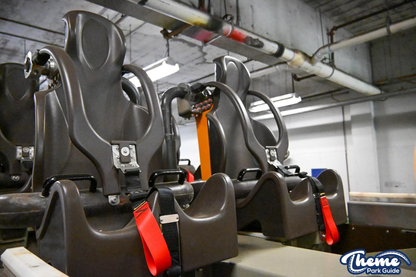 Cheetah Hunt Behind the Scenes Tour -