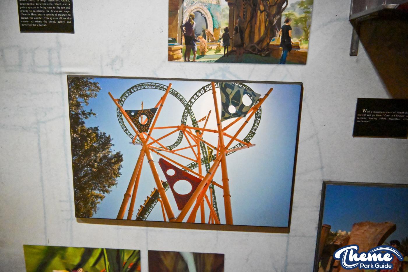 Cheetah Hunt Behind the Scenes Tour -