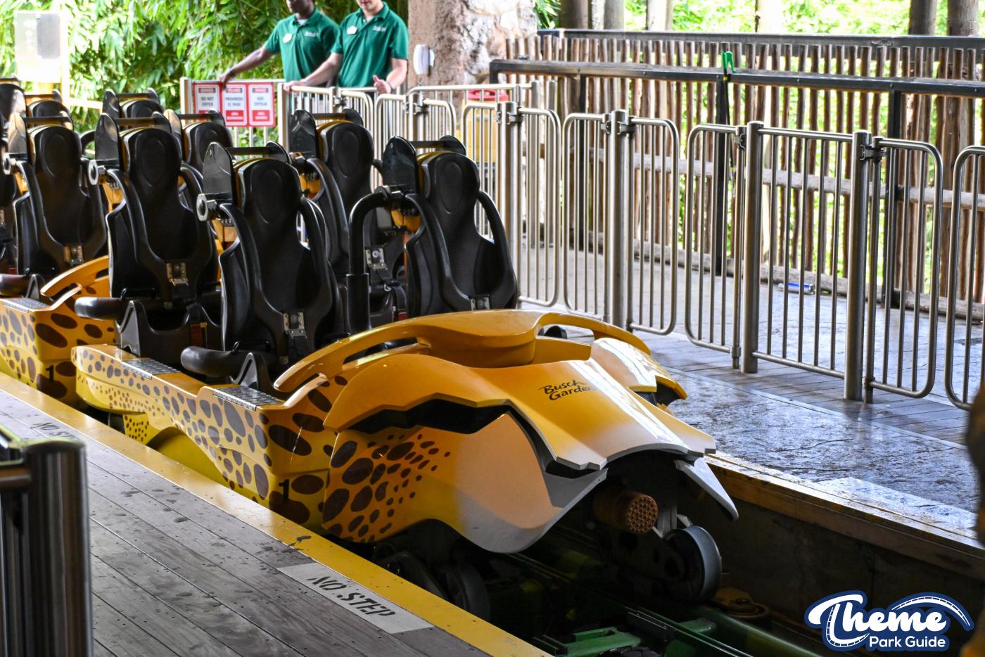 Cheetah Hunt Behind the Scenes Tour -