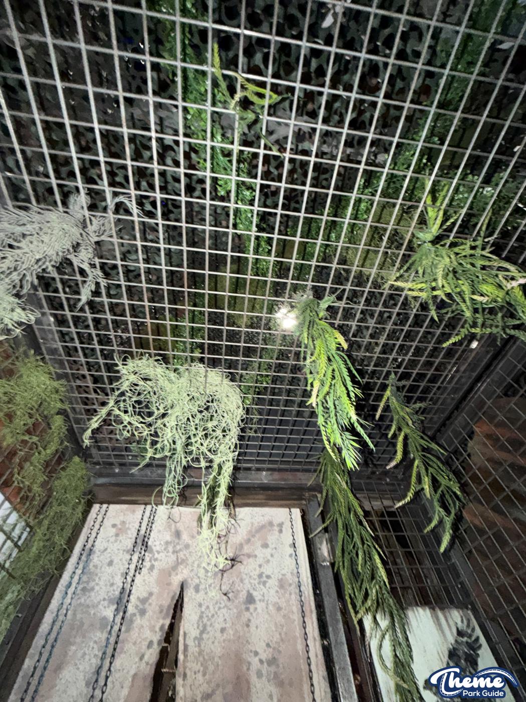 Madlands: Caged Cannibals Behind the Scenes -