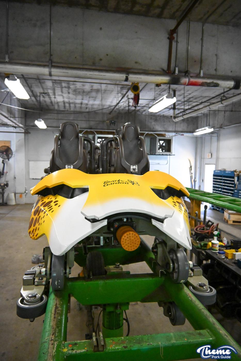 Busch Gardens Tampa - Busch Gardens Tampa Roller Coaster Insider Tour Review