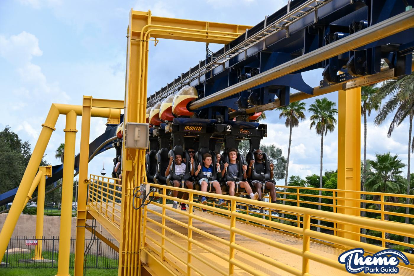 Busch Gardens Tampa - Busch Gardens Tampa Roller Coaster Insider Tour Review