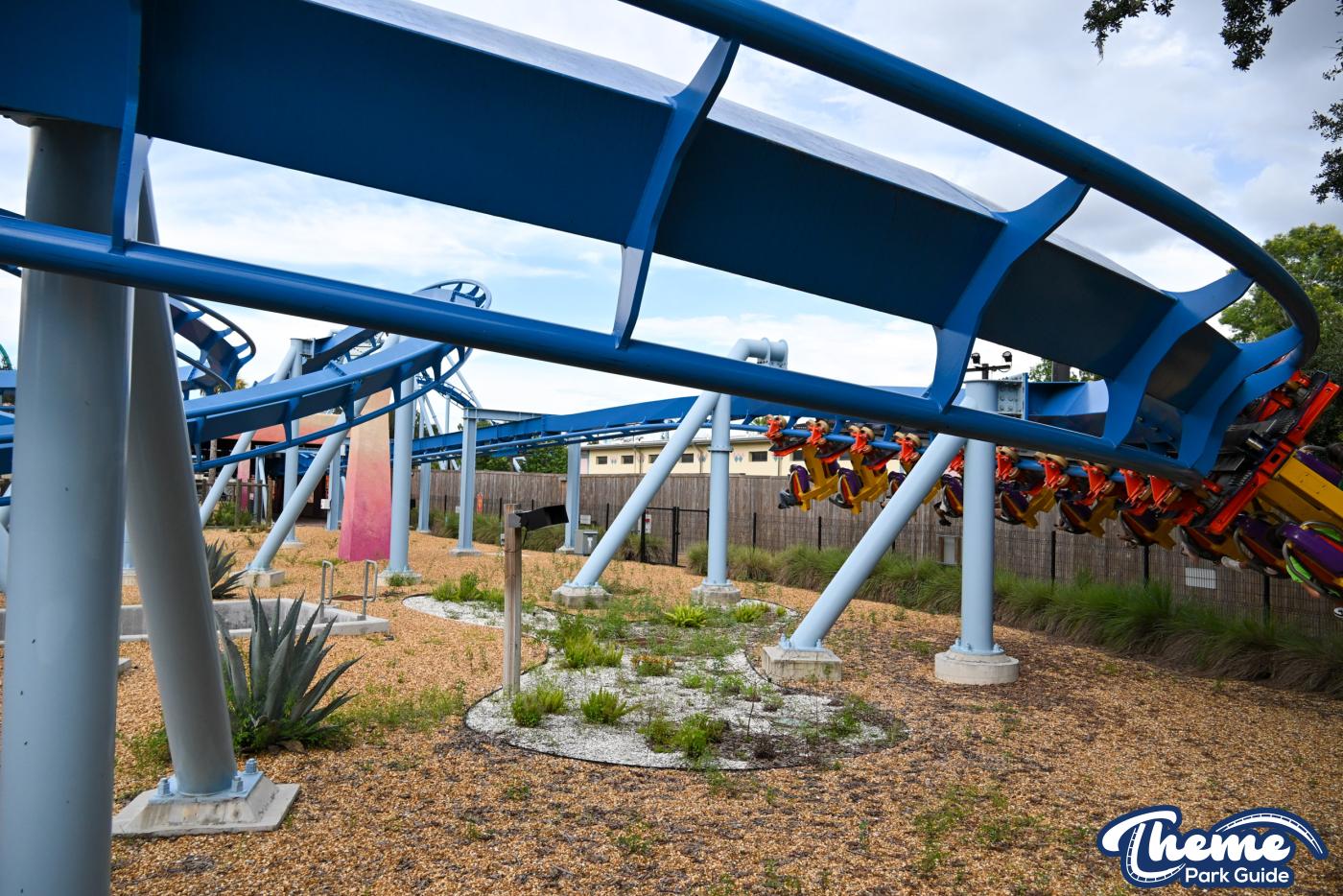 Phoenix Rising -  Busch Gardens Tampa