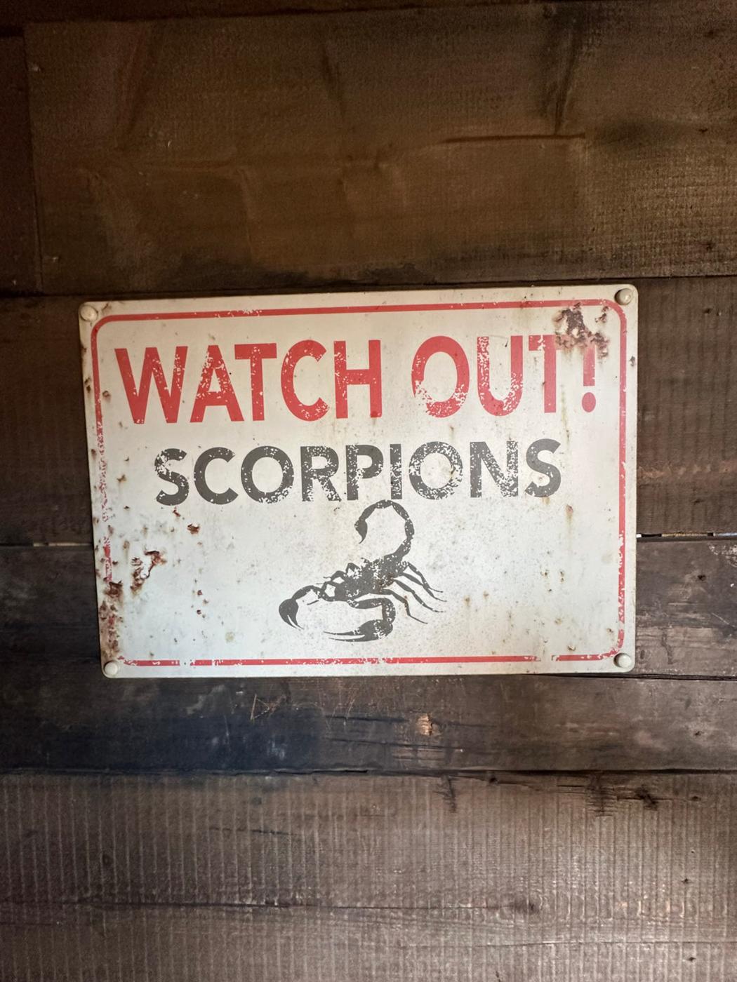 Chessington Scorpion Express Online Auction Bid for Iconic Ride Memorabilia